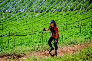 BIB: 
                            <button type="button" onclick="openModal(19164109)" class="btn btn-primary btn-sm float-right btn-popup" data-toggle="modal" data-target=".modal-high-quality">
                        <i class="fas fa-shopping-cart"></i> Add to Cart
                    </button>
                                            <button type="button" onclick="isThisMe(19164109, true)" class="btn btn-success btn-sm float-right btn-popup btn-isme hidden" data-toggle="tooltip" data-placement="bottom" title="นี่คือรูปของคุณใช่ไหม คลิกที่นี่เพื่อเอาเข้าอัลบั้ม">
                        <i class="fas fa-plus"></i> Add to album
                    </button>
                    <button type="button" onclick="isThisMe(19164109, false)" class="btn btn-warning btn-sm float-right btn-popup btn-isnotme hidden">
                        <i class="fas fa-ban"></i> Remove from album
                    </button>